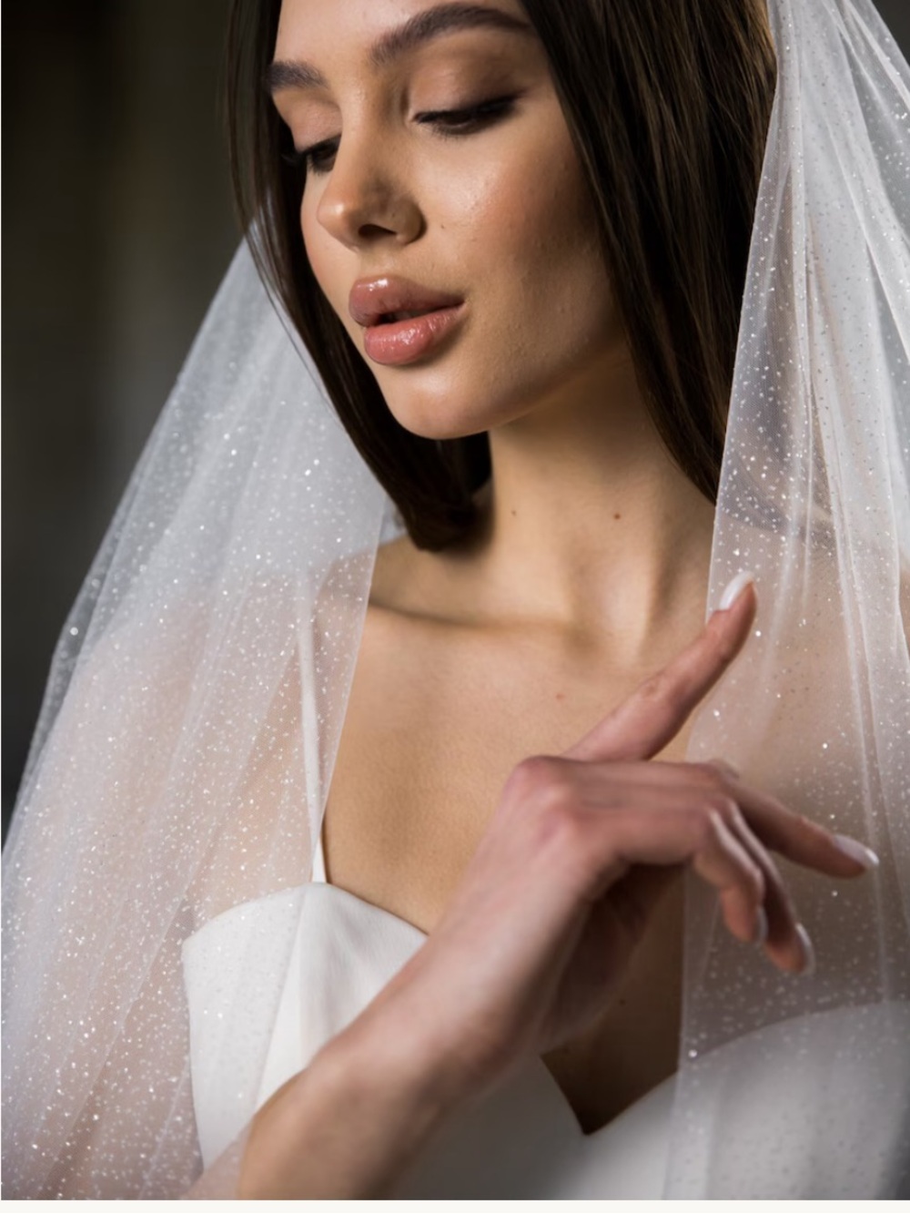Sparkle Cathedral Length Veil
